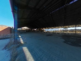 Torrenueva 13