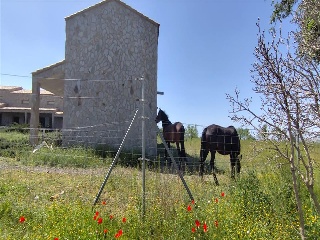 512. Cruz del Granado 8