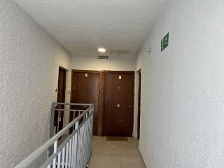Campo De La Paloma 2