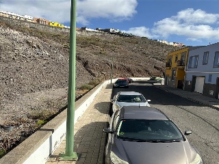 Bandurria 3