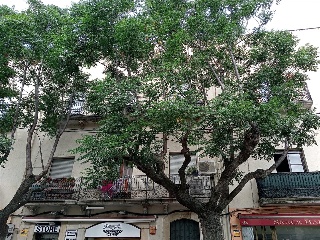 Otros en venta en Jonquera (la) de 39  m²