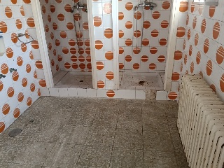 Mejico 20