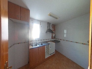 Mayor 5