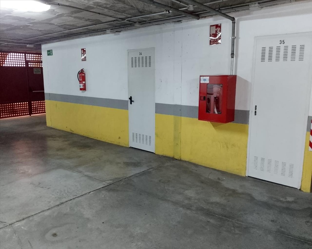 CIENTIFICO JAIME SANTANA