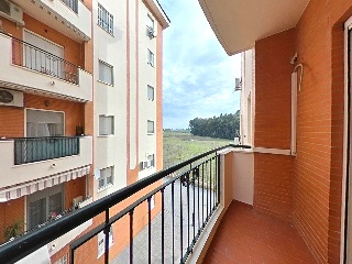 Arroyo del Espejo 2