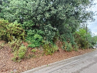 Pisos banco Castellar del Vallès