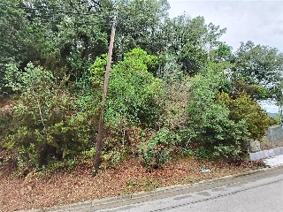 Serra De Sant Feliu 2