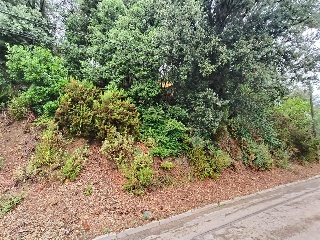 Serra De Sant Feliu 3