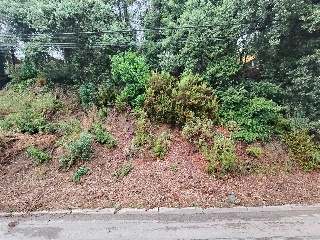 Serra De Sant Feliu 4