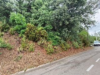 Serra De Sant Feliu 5