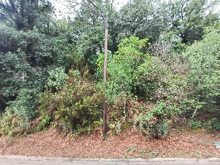 Serra De Sant Feliu 8