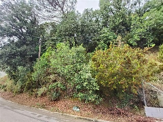 Serra De Sant Feliu 9