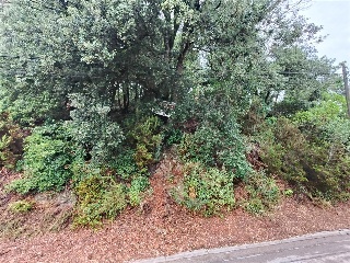 Serra De Sant Feliu 10