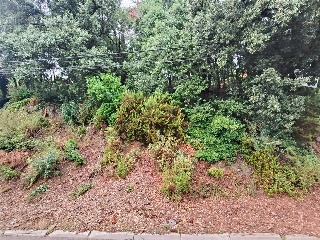 Serra De Sant Feliu 11