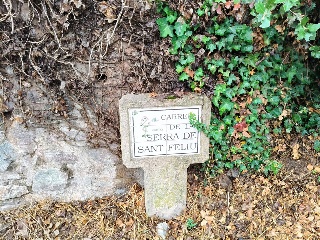 Serra De Sant Feliu 12