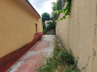 Mas Mora 2
