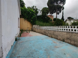 Mas Mora 3