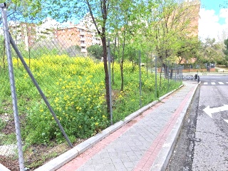 ALUMINIO 2
