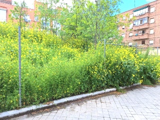 ALUMINIO 6