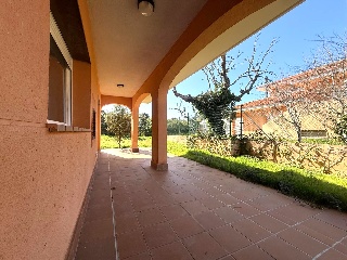Manuel Herrera 37