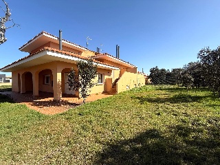 Manuel Herrera 38