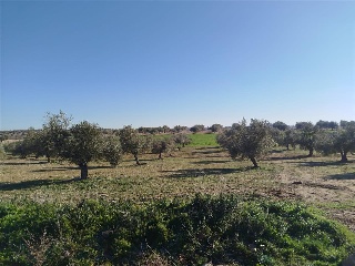 DE LA ERMITA DE SAN BLAS 2