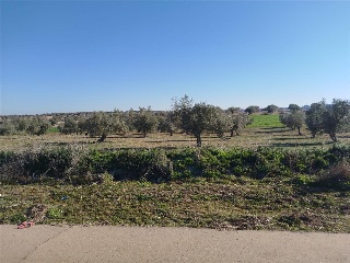 DE LA ERMITA DE SAN BLAS 3