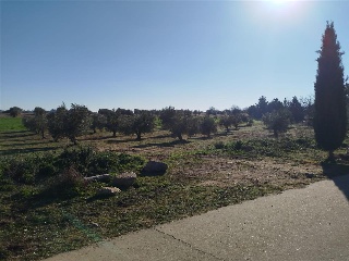 DE LA ERMITA DE SAN BLAS 4