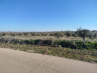 DE LA ERMITA DE SAN BLAS 6