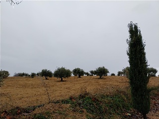 DE LA ERMITA DE SAN BLAS 8