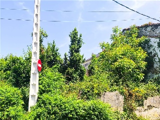 POMAR 7