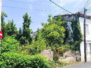 POMAR 12