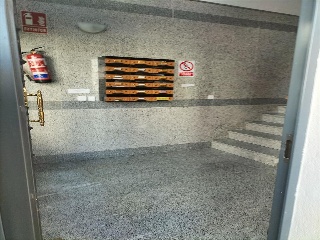 MONTE 4