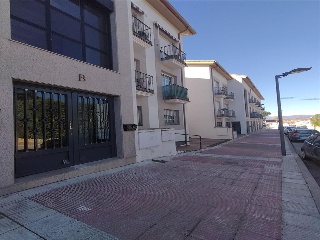 MONTE 7