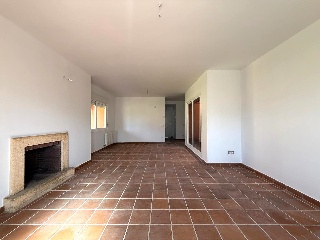 Nogal 4