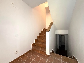 Nogal 12