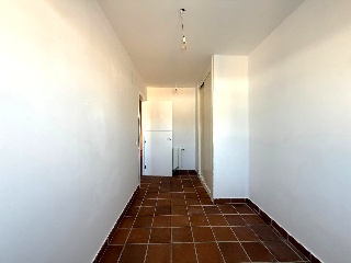 Nogal 18