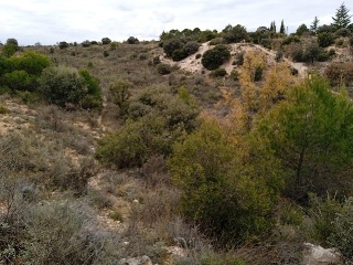 PARAJE DEHESA VALDEAPA 3