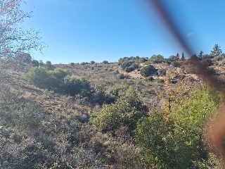 PARAJE DEHESA VALDEAPA 5