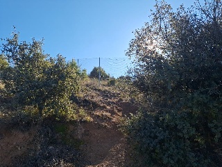 PARAJE DEHESA VALDEAPA 7