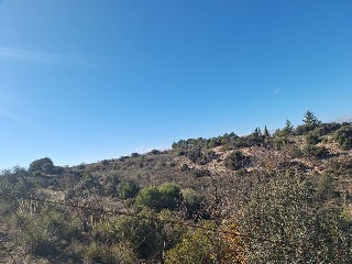 PARAJE DEHESA VALDEAPA 9