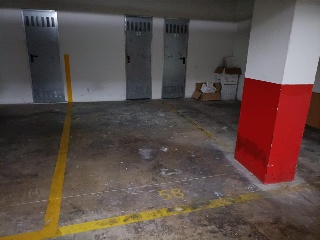 PIMIENTA 7