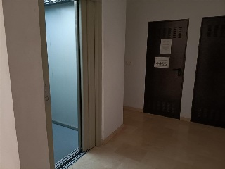 PIMIENTA 11