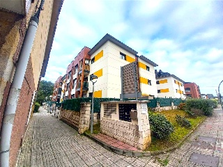 LOS ROSALES 3