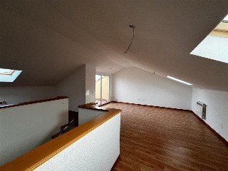 CONSTELACIÓN PEGASO 12