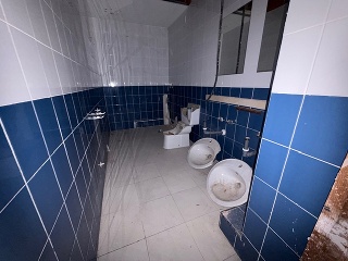 CONSTELACIÓN PEGASO 17