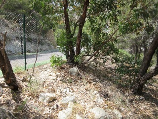 PRINCIPAL DE LA SIERRA 3