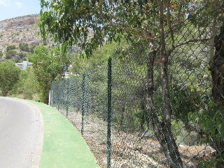 PRINCIPAL DE LA SIERRA 6