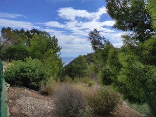 PRINCIPAL DE LA SIERRA 11