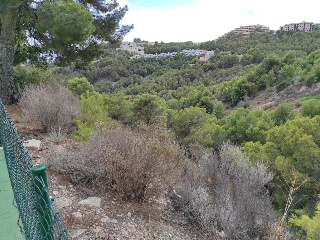 PRINCIPAL DE LA SIERRA 12